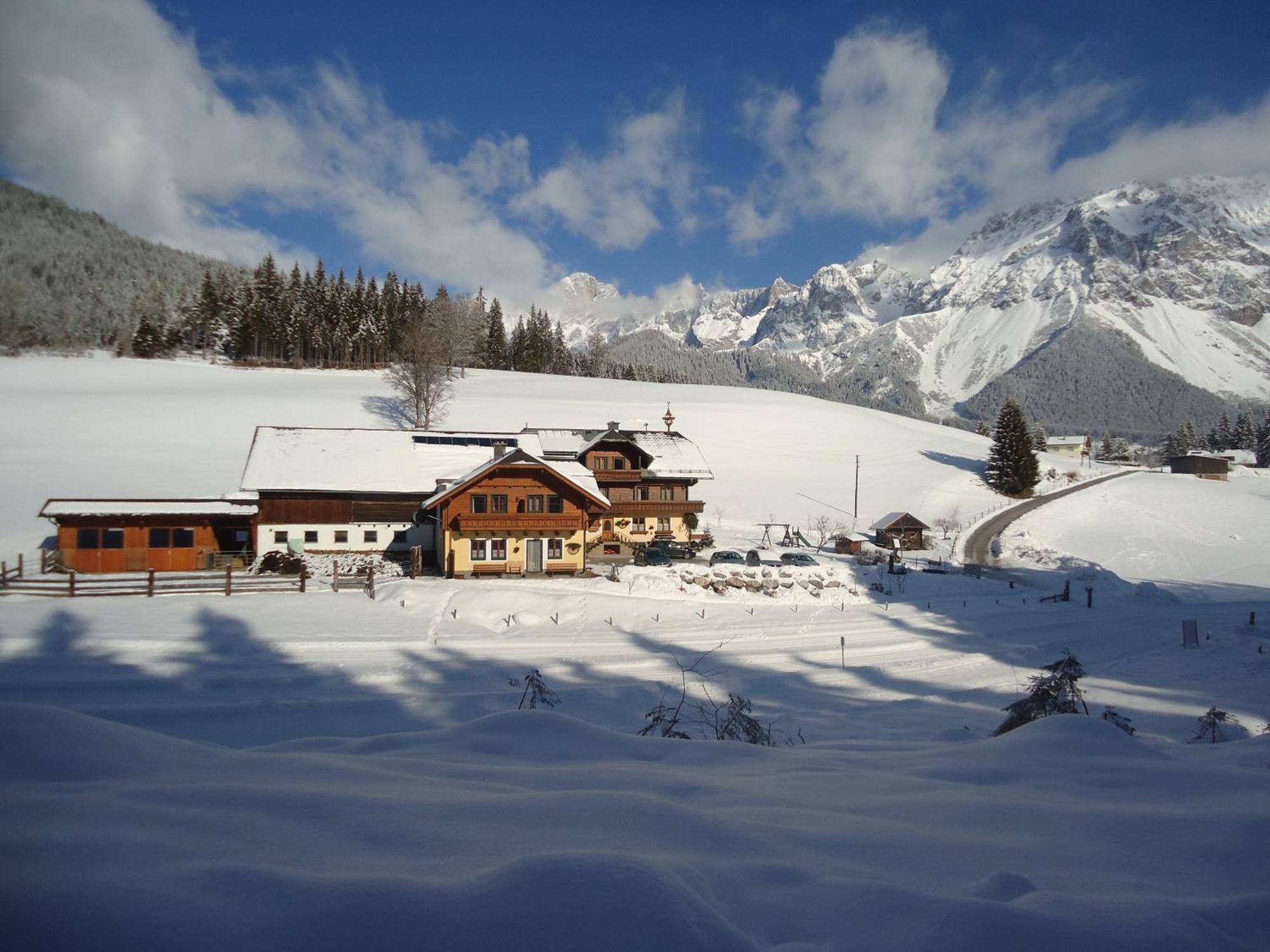 Pension-Greimelbacherhof Ramsau am Dachstein Eksteriør bilde
