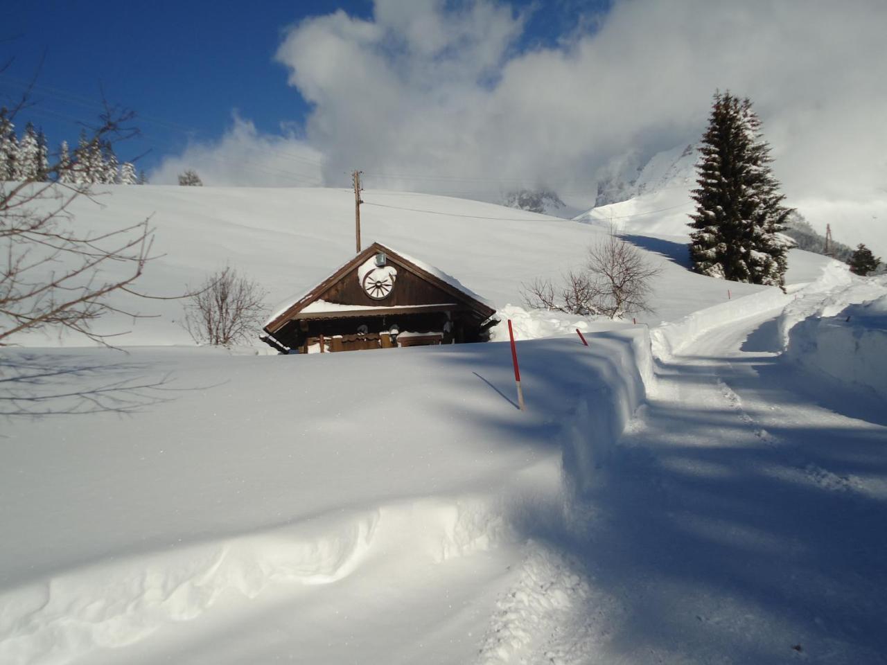 Pension-Greimelbacherhof Ramsau am Dachstein Eksteriør bilde