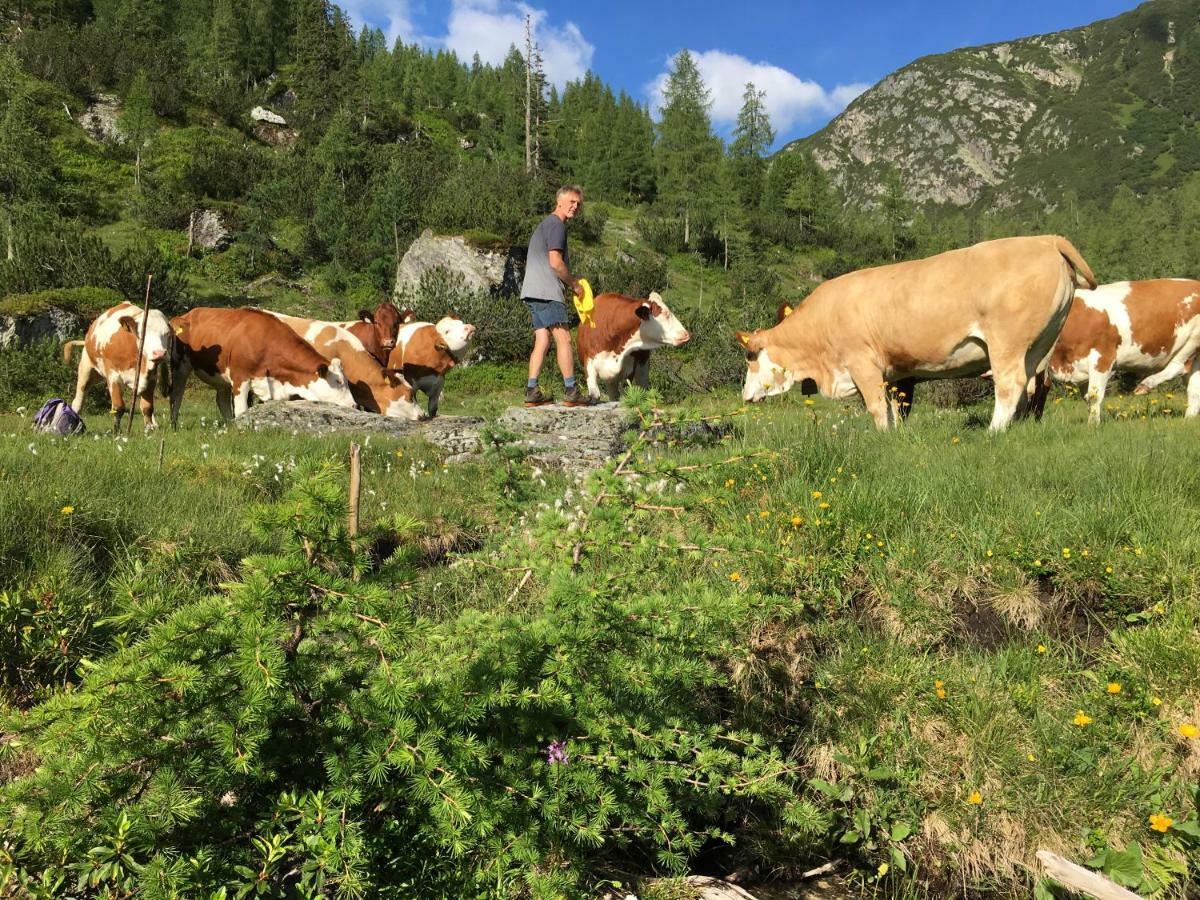Pension-Greimelbacherhof Ramsau am Dachstein Eksteriør bilde